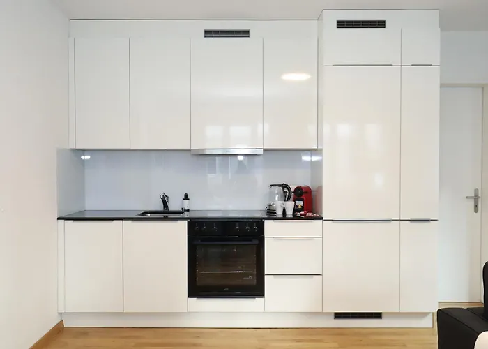 New Center With Private Entry & Parking Apartament *