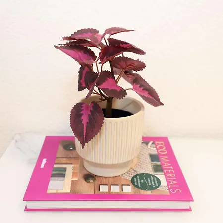 New Center With Private Entry & Parking *