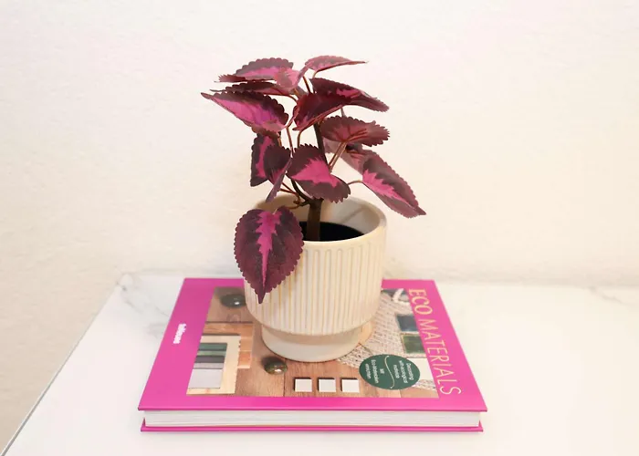 New Center With Private Entry & Parking *